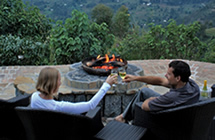 chimps tracking in Nyungwe