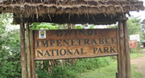 Bwindi Gorilla Trek - 3 days Gorilla Safari - Uganda Tour