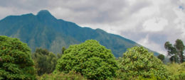 virunga volcanoes