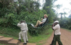 Gorilla tours with disabilities