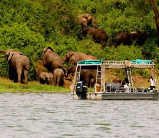 Game Viewing safaris in Uganda