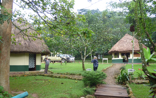 Accommodation in Bwindi Forest