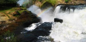 18 Days Uganda Rwanda Safari