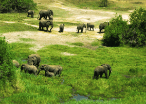 Best activities for children in Rwanda