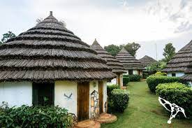 Low cost Uganda safaris