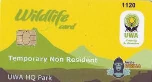 Gorilla trekking in Uganda