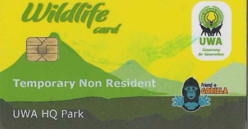 Gorilla permit prices in Africa