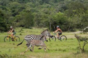 National parks in Uganda