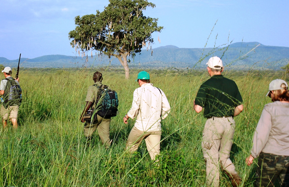 Nature/bush walks in Uganda