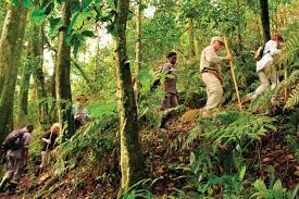 Bushwalking in Uganda