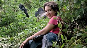 2 gorilla treks safari