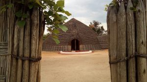 11 Days Rwanda Safari
